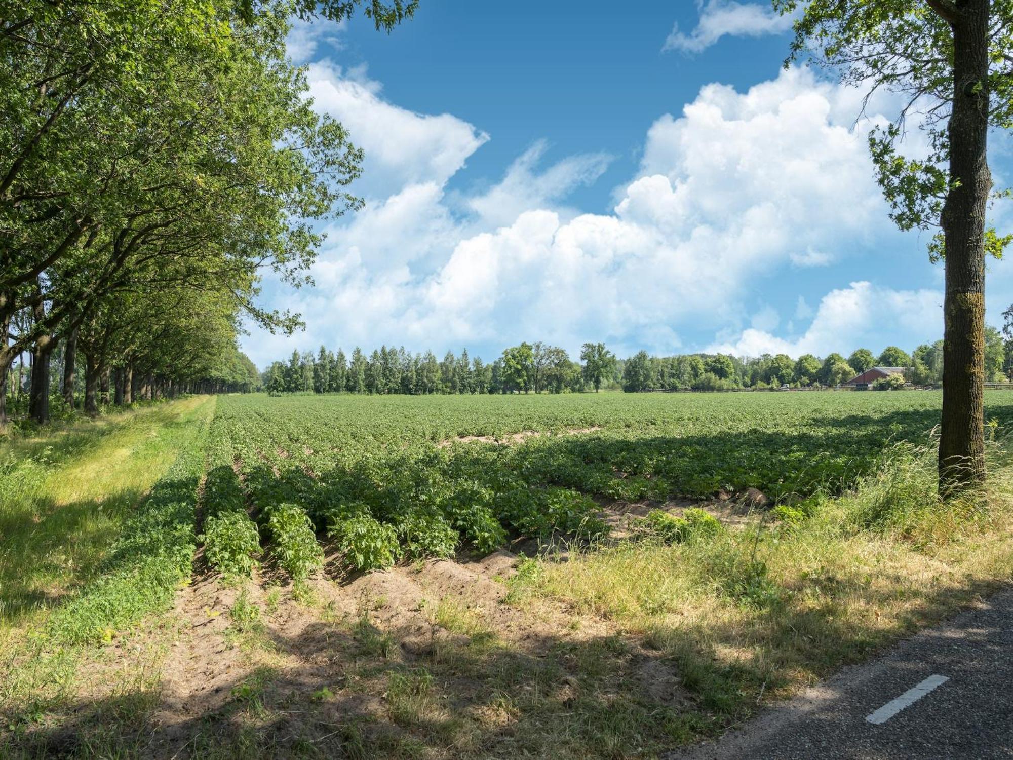 House With A Large Garden In Achterhoek Eibergen Bagian luar foto